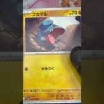 パラソルおねえさんSAR狙い