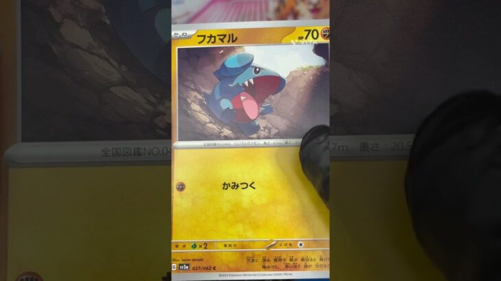 パラソルおねえさんSAR狙い