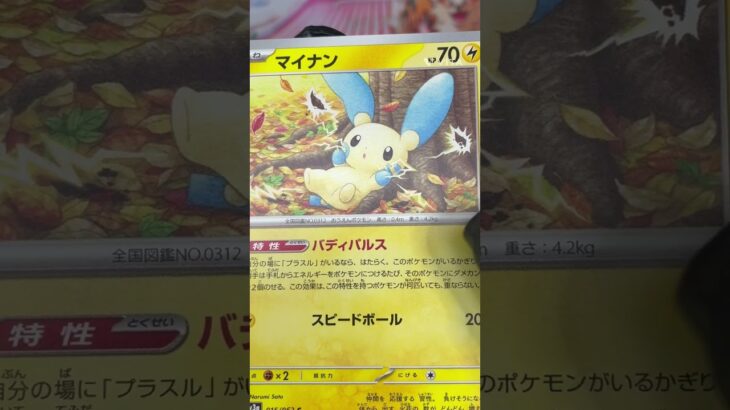 パラソルおねえさんSAR狙い