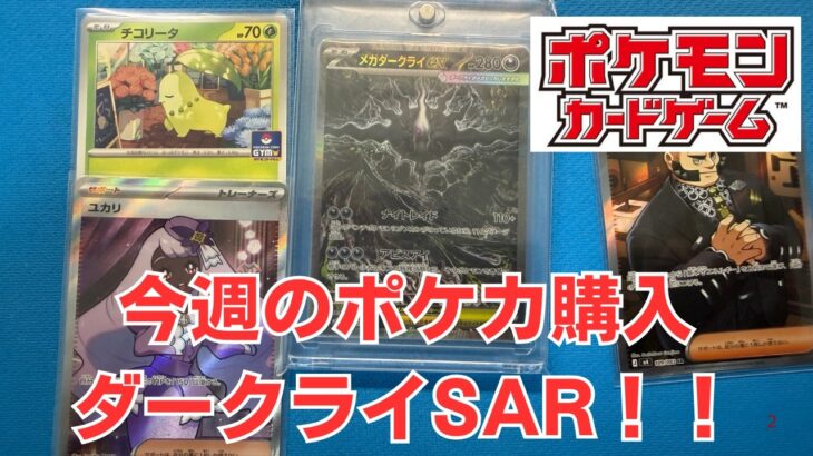 【ポケカ】いつか買うから今買ったダークライSAR。高値掴みした。Pokémon Trading Card Game in japan ―English audio available!
