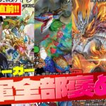 【新弾直前】SR軍団はちゃんとつええ！！ ますつよ解説 3日目【デュエルマスターズ】