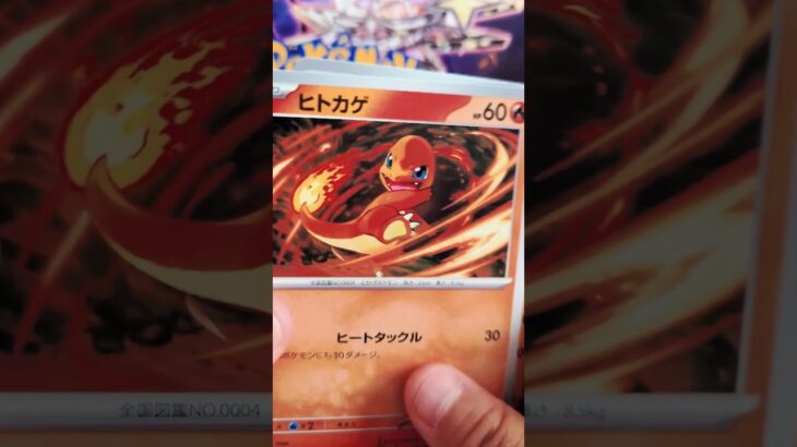 黒炎の支配者！#ポケモンカード #黒炎の支配者 #shorts