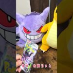 【ポケカ】世界一平和な姉妹の新弾開封！