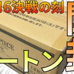 【決戦の刻】ワンピースカード最速カートン開封！決戦の刻！【ワンピースカード】