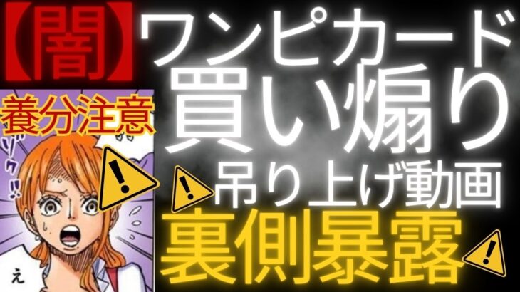【闇】ワンピカード買い煽り動画の裏側暴露。その「高騰予想」は誰の出口戦略なのか？【ワンピースカード】