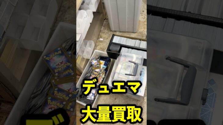 久しぶりにデュエマの買取がいっぱいきました#vlog #カードショップ店員 #作業内容
