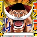 【新弾対決】緑青ルフィvs赤エース！命を捨てて勝利を手にしろ！【ワンピカ対戦】［ワンピカード/ワンピースカード］