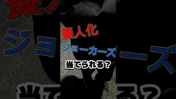 完成度高ぇー！笑【擬人化（させた）ジョーカーズあてられる？】1