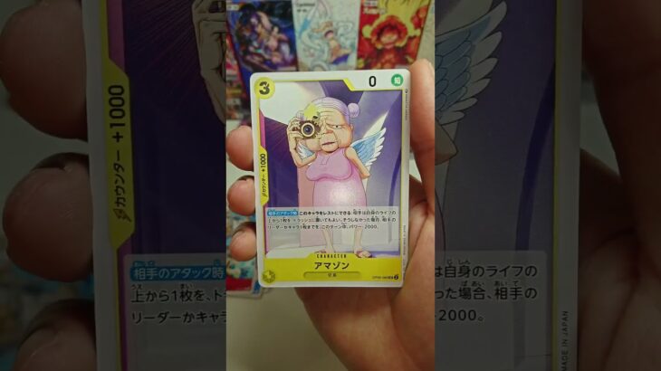 ワンピースカード　新時代の主役5