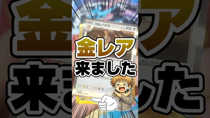 【金レア降臨！🥳】新弾ポケカやMEGAドリームのストック無くなったのでテラスタルフェスex開けたら金レアが来た件！毎日ポケカ開封！