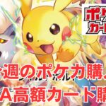 【ポケカ】ピカチュウPSA鑑定品高額カード購入報告。Pokémon Trading Card Game in japan ―English audio available!
