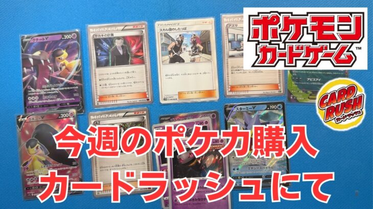 【ポケカ】今週のシングル購入はカードラッシュ。ダークライは集めたい。Pokémon Trading Card Game in japan ―English audio available!