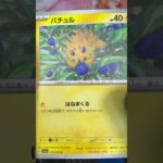 パラソルおねえさんSAR狙い