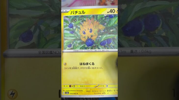 パラソルおねえさんSAR狙い