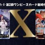 トレカ-X-第2回ワンピースカード新時代3on3 準決勝　紫黄ロシナンテ vs 赤青ルーシー
