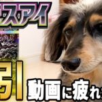 【新弾ポケカ】調子がいい時は⭐️なんでも引けるはず‼️【アビスアイ】#ポケカ #ポケカ再販 #最新情報  #ポケモンカード  #pokemon  #ポケモン #犬 #30周年#メガダークライ#開封動画