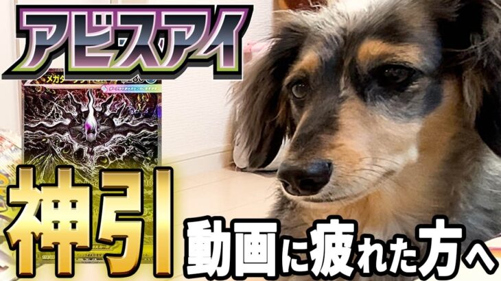 【新弾ポケカ】調子がいい時は⭐️なんでも引けるはず‼️【アビスアイ】#ポケカ #ポケカ再販 #最新情報  #ポケモンカード  #pokemon  #ポケモン #犬 #30周年#メガダークライ#開封動画