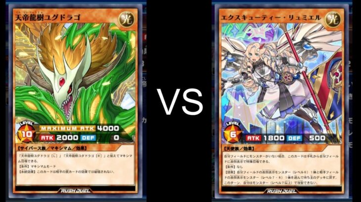switchラッシュデュエル　観戦動画