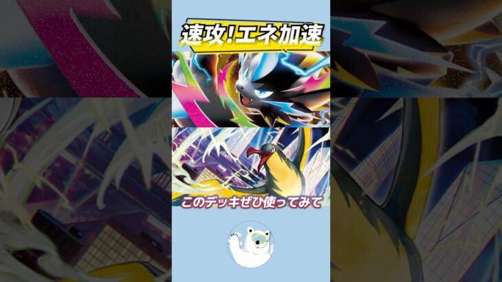 【新弾注目】メガゼラオラが速すぎる！雷デッキの新エース誕生!?【ポケカ/ポケモンカード】