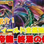 【ラッシュデュエル】新規紹介！混沌帝龍-終焉の使者-！手札フィールド全墓地送りの超楽しいカオスエンペラードラゴン！！！【遊戯王】