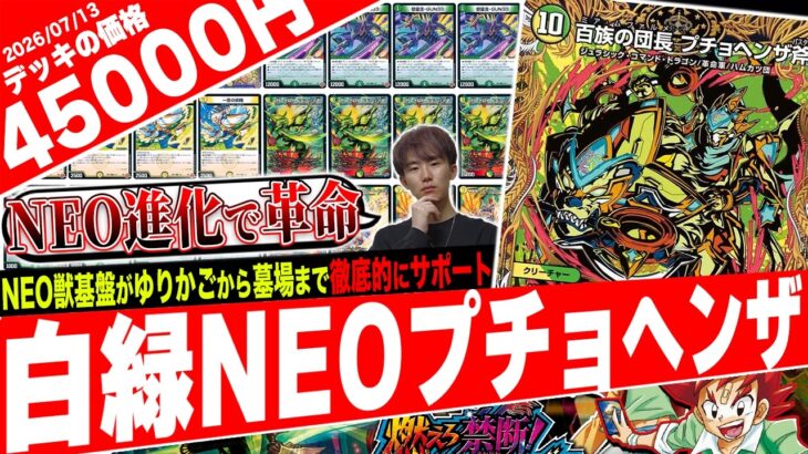 1コストから10コストへ‼️最強チェンジ元《怒留流−GUN33》から爆発する『白緑NEOプチョヘンザ』がヤバすぎたので紹介【フェアリーch】