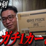 【ワンピースカード】破産覚悟の20万円かかった1カートンを開封します。 #決戦の刻