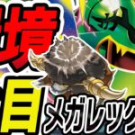 【新弾注目】350ダメージ連発で環境を制圧！耐久型メガレックウザを徹底解説！【ポケカ/ポケモンカード】