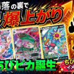 【ポケカ投資】みんな売ってる裏で海外勢が買ってるCSRカード！海外では最高値更新中【海外需要】