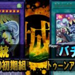 【#遊戯王】闇ペガサス相手に闇のゲームしてみた。 E・HERO初期組 vs トゥーンアリゲーター【城下町デュエル】【#対戦】