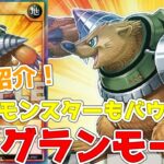 【ラッシュデュエル】新規紹介！N・グランモール！どんなモンスターもバウンスできる！だがデメリットがついた！！【遊戯王】