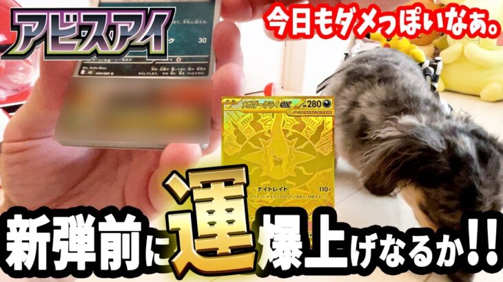 【ポケカ開封】新弾前になんとかSARを引いときたい‼️🧸と🐕️【アビスアイ】#ポケカ再販 #最新情報  #ポケモンカード  #pokemon  #ポケモン #犬 #30周年#メガダークライ