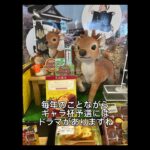 ギャラクシーカップ予選最終日、、、 #ラッシュデュエル #遊戯王