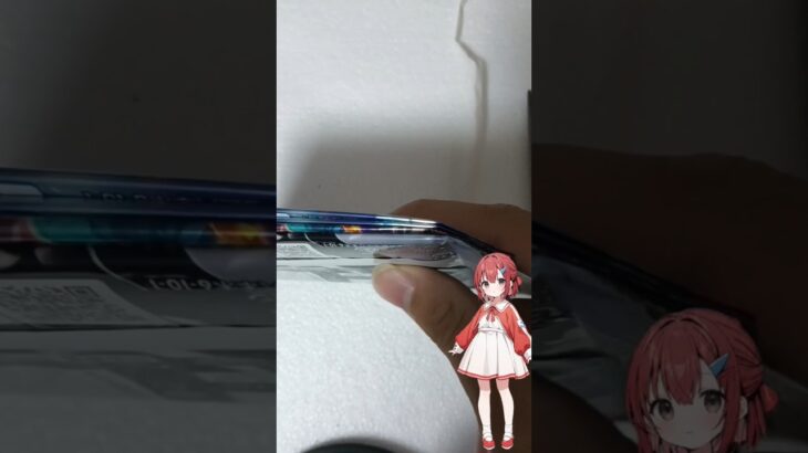 フリマで絶版未開封パックを購入したので紹介します。