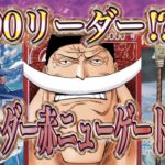 【ワンピースカード】第二弾を彷彿とさせる怪物帰還！世界最強の戦士新リーダー赤ニューゲート始動！