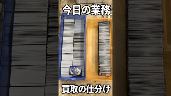 久しぶりにデュエマの買取がいっぱいあったようなので仕分けました#vlog #カードショップ店員 #作業内容