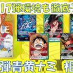 17弾もやれる?!16.5弾環境青黄ナミ相性表と17弾環境予測徹底解説！【ワンピースカード】【相性表】【解説動画】