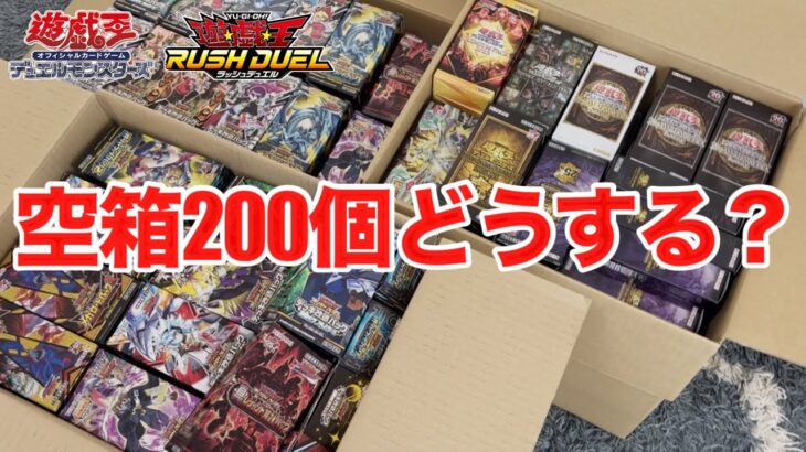 【遊戯王】空箱200個どう保管する？