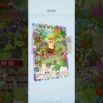 天空の支配者（23-24）#pokemon  #ポケポケ #shorts  #ポケカ最新情報 #新弾  #毎日開封  #おまけ #ポケモンカード #天空の支配者