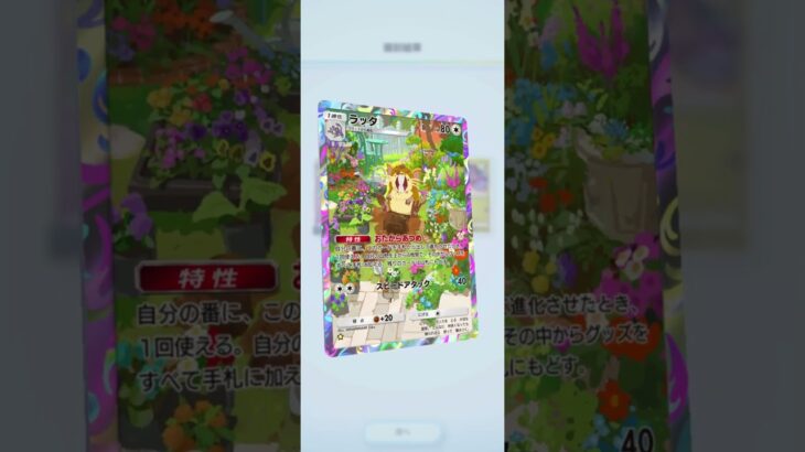 天空の支配者（23-24）#pokemon  #ポケポケ #shorts  #ポケカ最新情報 #新弾  #毎日開封  #おまけ #ポケモンカード #天空の支配者