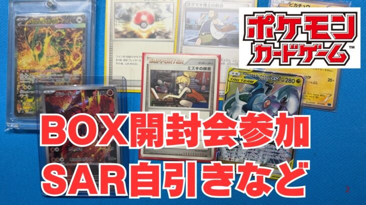 ポケカBOX開封会参加やシングル購入。そして、SAR自引きした話。Pokémon Trading Card Game in japan ―English audio available!
