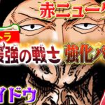 【公式】『世界最強の戦士【OP-17】』環境強化バトル！エクストラ！！赤ニューゲートVS紫カイドウ【ワンピカード情報局】（ONE PIECEカードゲーム）