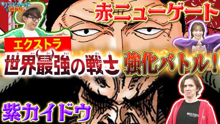 【公式】『世界最強の戦士【OP-17】』環境強化バトル！エクストラ！！赤ニューゲートVS紫カイドウ【ワンピカード情報局】（ONE PIECEカードゲーム）