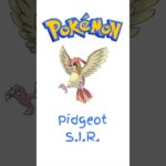 Pidgeot ex Special Illustration Rare from Obsidian Flames – #pokemon
