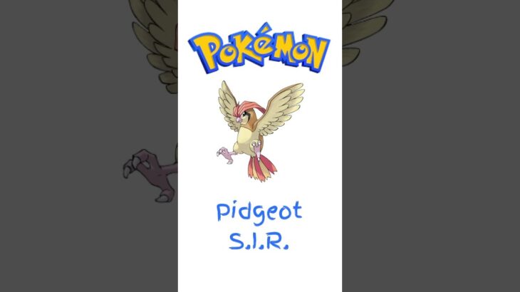 Pidgeot ex Special Illustration Rare from Obsidian Flames – #pokemon