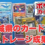 茨城県のカードショップより。ポケカ探索。ストレージ活動。Pokémon Trading Card Game in japan ―English audio available!