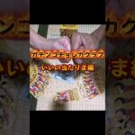 【新弾ワンピース】世界最強の戦士、開封🔥SR·リーダーパラレル当てちゃいました！