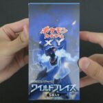 【ポケカ】YouTube史上初の開封屋がマジでキレた、ワイルドブレイズBOX開封 真似すんな