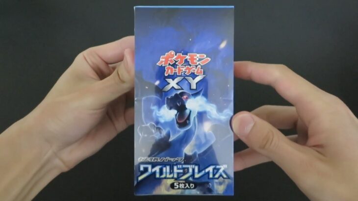 【ポケカ】YouTube史上初の開封屋がマジでキレた、ワイルドブレイズBOX開封 真似すんな
