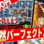 まさに変幻自在‼️デュエマに存在するありとあらゆるドラゴンになれる『水自然パーフェクトスターズ』が面白すぎたので紹介【フェアリーch】