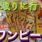 ワンピカード新弾開封！世界最強の戦士開封！